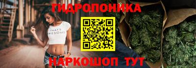 индика Комсомольск-на-Амуре