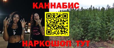индика Комсомольск-на-Амуре