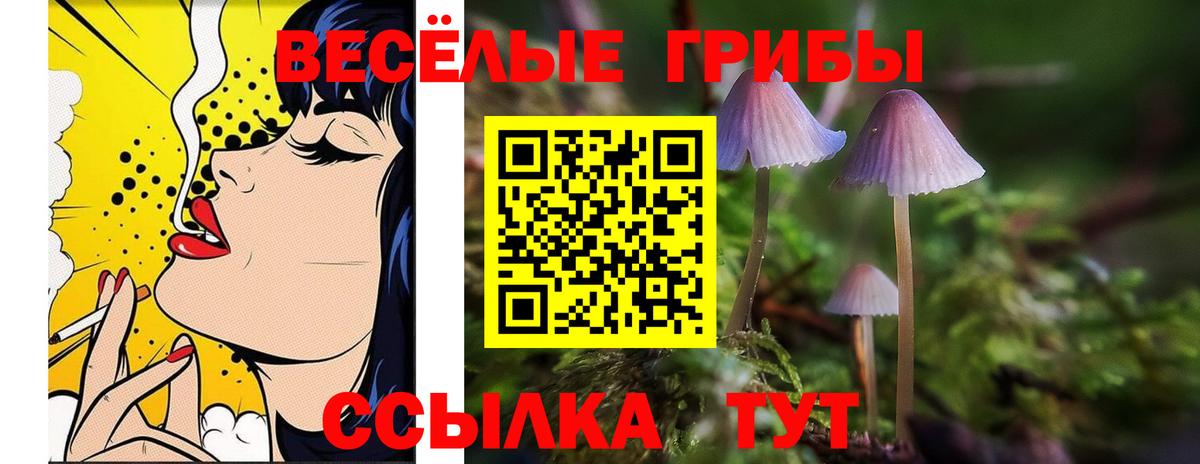 Псилоцибиновые грибы Psilocybe Коряжма